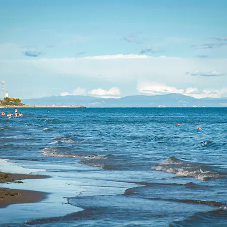 In 49966 Bibione