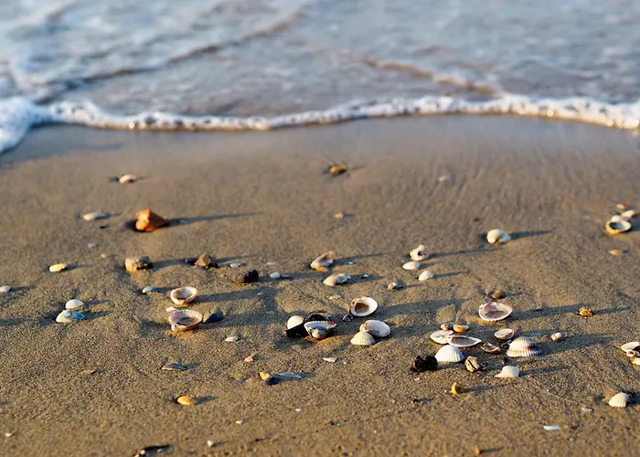 Appartamento In 49966 *